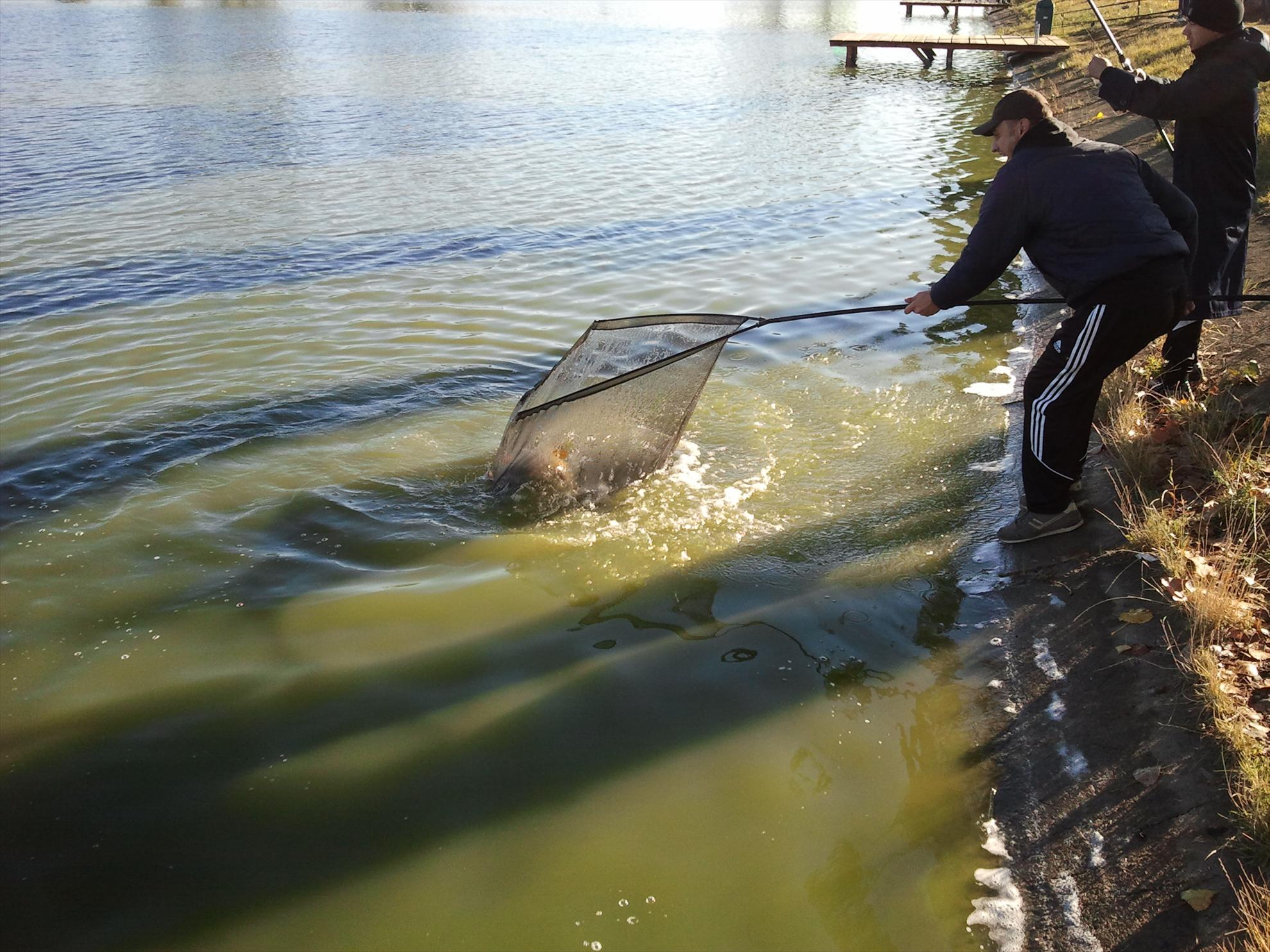 Pleasa 2012 - 2012-09-23-085743.jpg